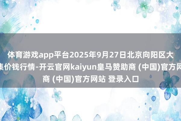 体育游戏app平台2025年9月27日北京向阳区大洋路轮廓市集价钱行情-开云官网kaiyun皇马赞助商 (中国)官方网站 登录入口