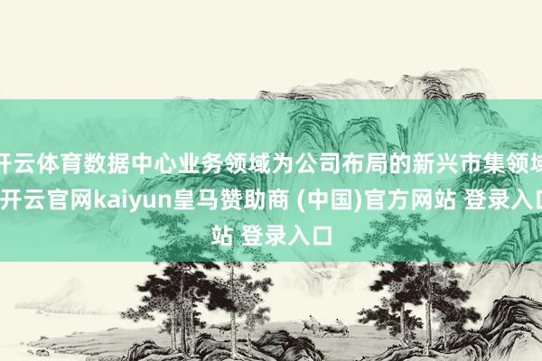 开云体育数据中心业务领域为公司布局的新兴市集领域-开云官网kaiyun皇马赞助商 (中国)官方网站 登录入口