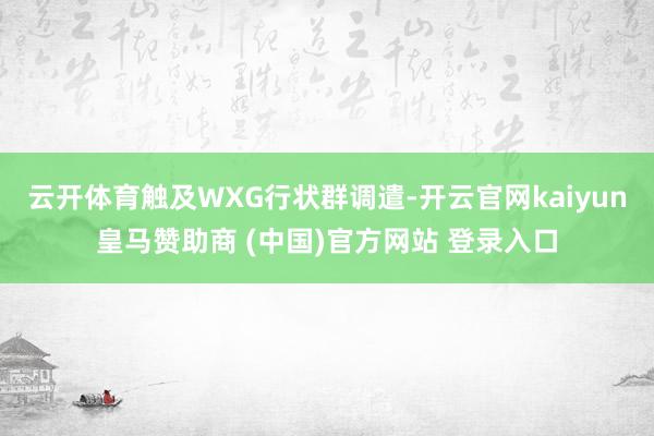 云开体育触及WXG行状群调遣-开云官网kaiyun皇马赞助商 (中国)官方网站 登录入口
